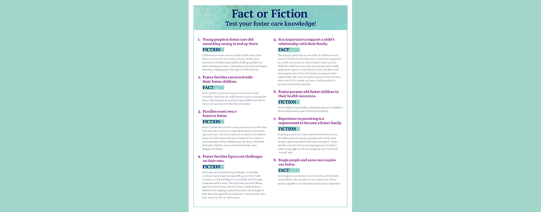 Fact or Fiction resource
