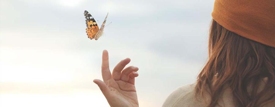 Picture of a woman reaching her hand out to a butterfly