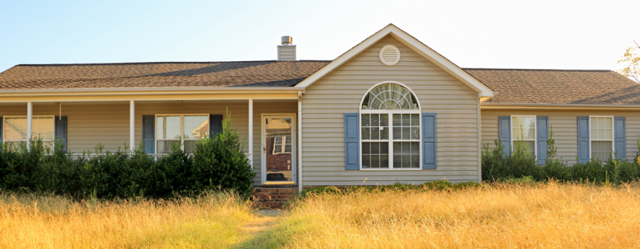 An Unkempt Neighbor's yard with tall, dying grass