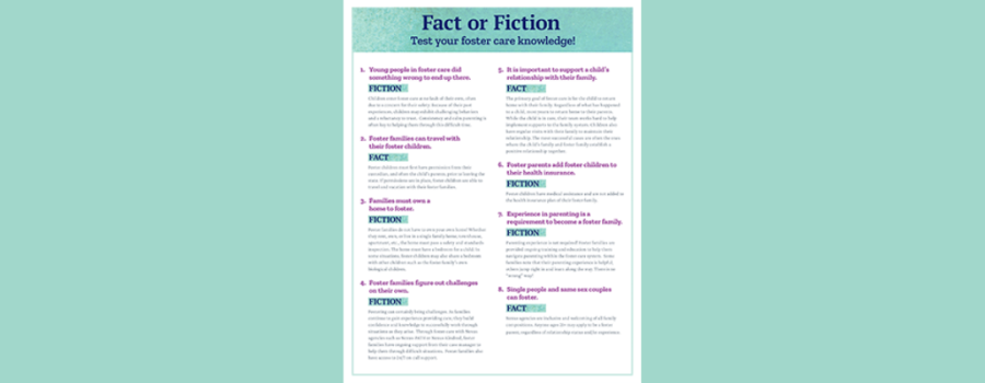 Fact or Fiction resource