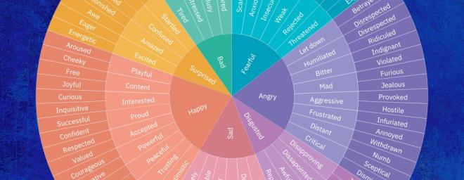 Picture of the feeling wheel originally created by Dr. Gloria Wilcox