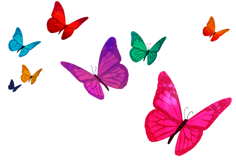 Transformation butterflies