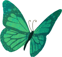 Green butterfly