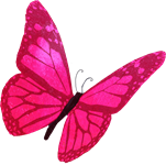 Illustration of pink butterfly