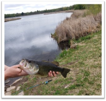 Hand holding fish with lake in background